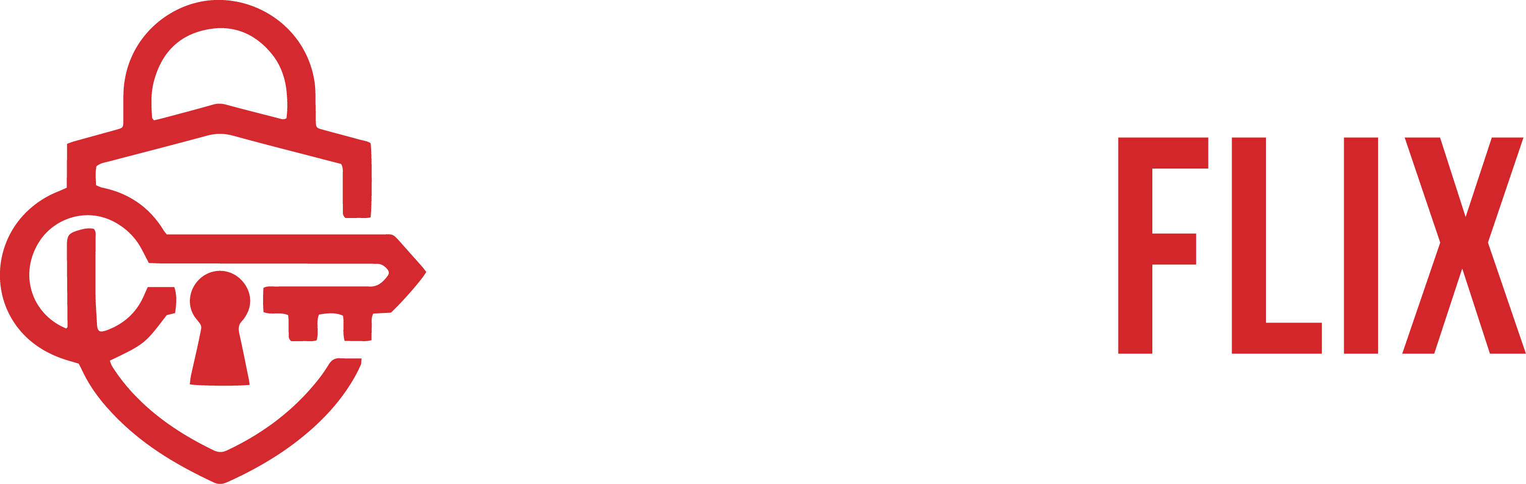 StashFlix Logo